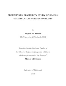 Difference between thesis and feasibility study