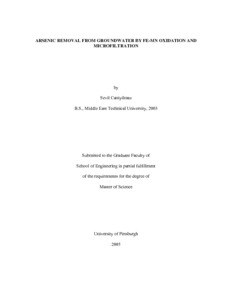 Barbara leadholm masters thesis introduction